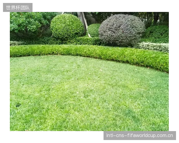 部分俱乐部寄望于数字孪生“一键提升”成绩,却忽视了最基础的草坪养护与后勤保障 部分俱乐部寄望于数字孪生“一键提升”成绩,却忽视了最基础的草坪养护与后勤保障